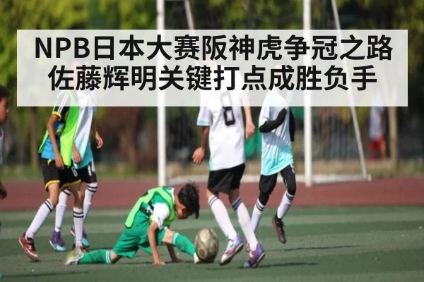 NPB日本大赛阪神虎争冠之路 佐藤辉明关键打点成胜负手
